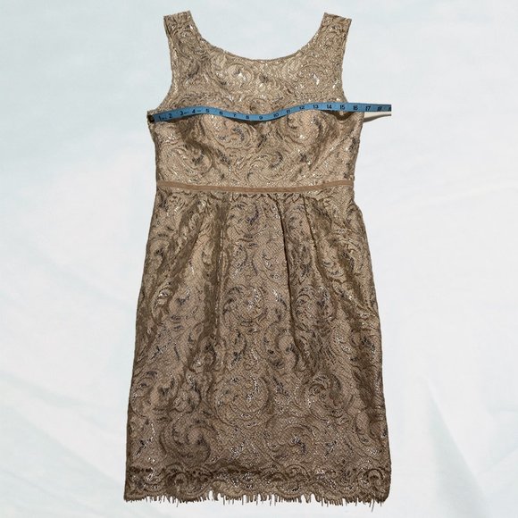 Jenny Yoo Collection Sliver and Cream Lace Cocktail Dress - Picture 10 of 12